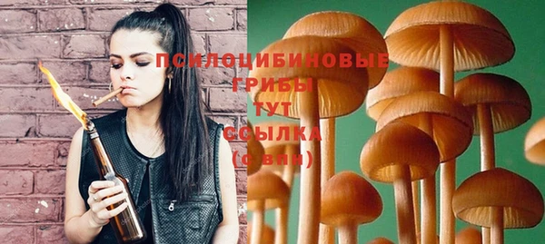 тгк Арсеньев