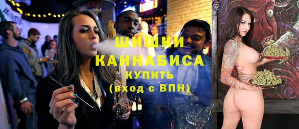тгк Арсеньев