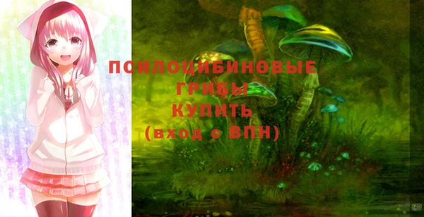 эйфоретик Аркадак