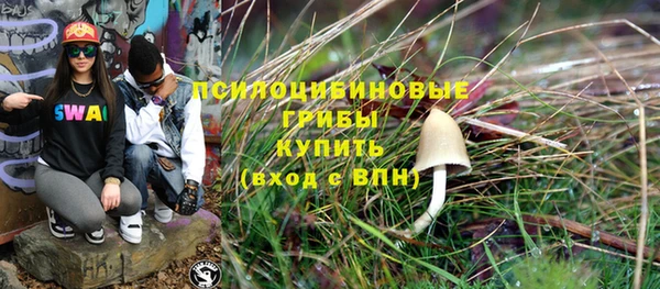 тгк Арсеньев