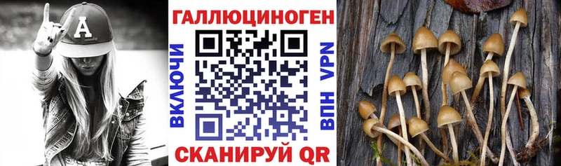 купить Ленск Галлюциногенные грибы Cubensis